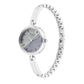 Titan Raga Viva Silver Dial Women Watch With Metal Strap
