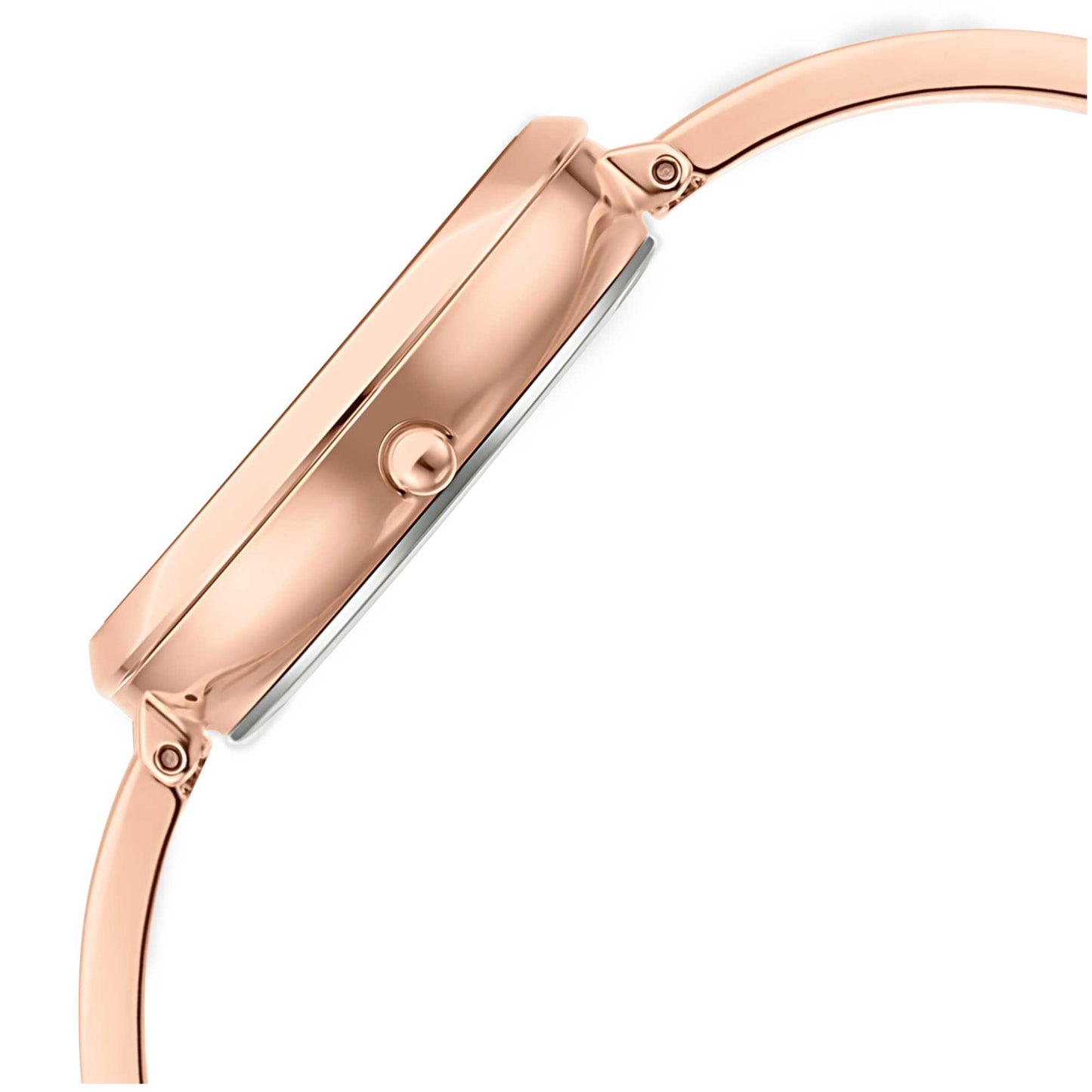 Titan Raga Viva Rose Gold Dial Women Watch With Metal Strap