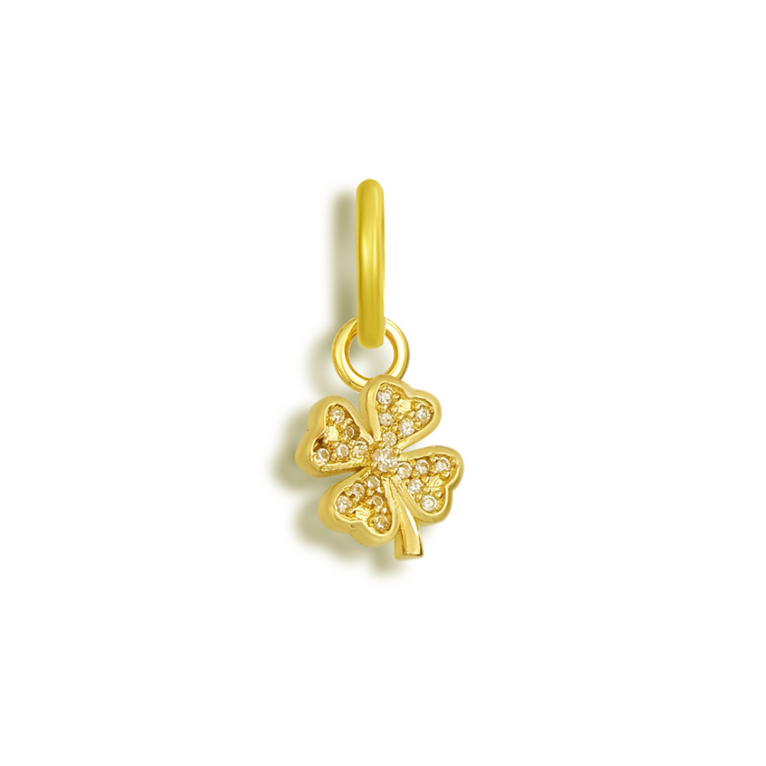 Shoe Charms