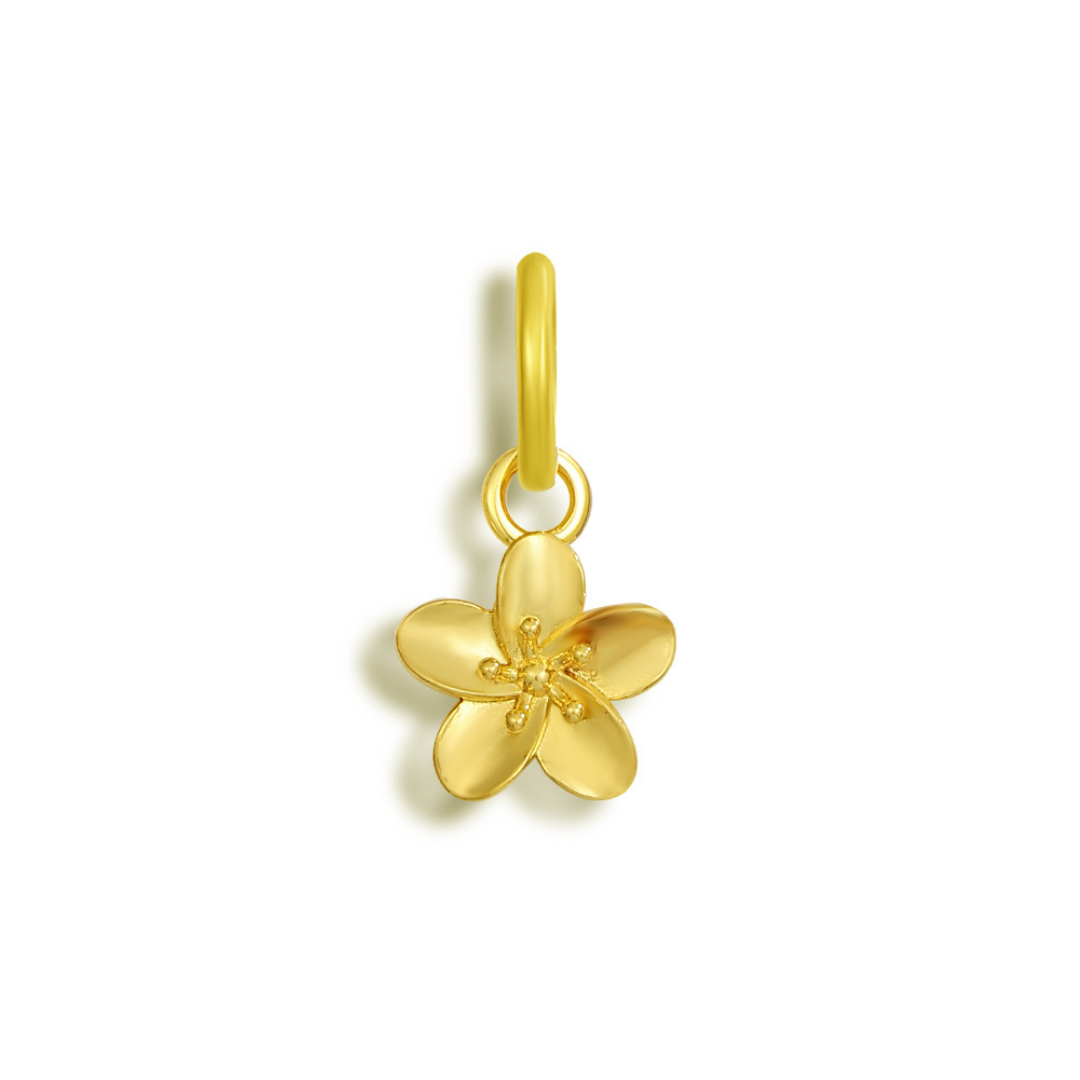 Shoe Charms