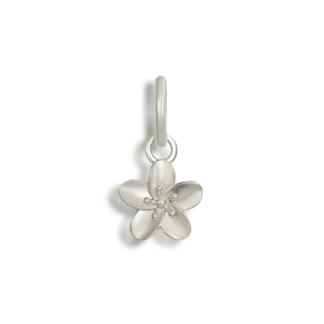 Shoe Charms