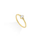 Temptress Ring